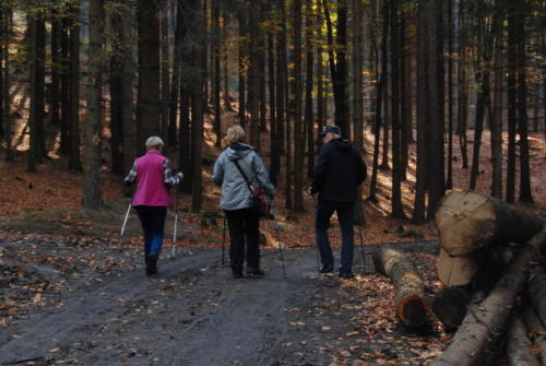 rudawski nordic-walking